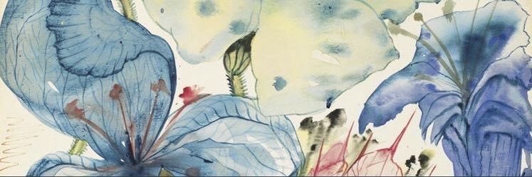 marina's banner