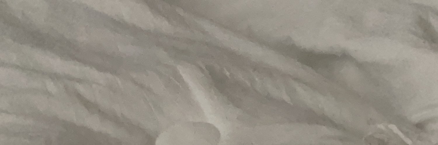 Sheldon banner