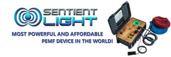 pemfelement Profile Banner