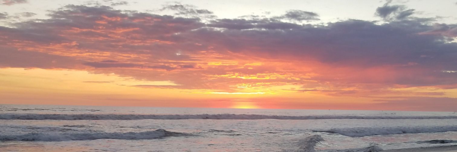 lopez_k6's profile banner image