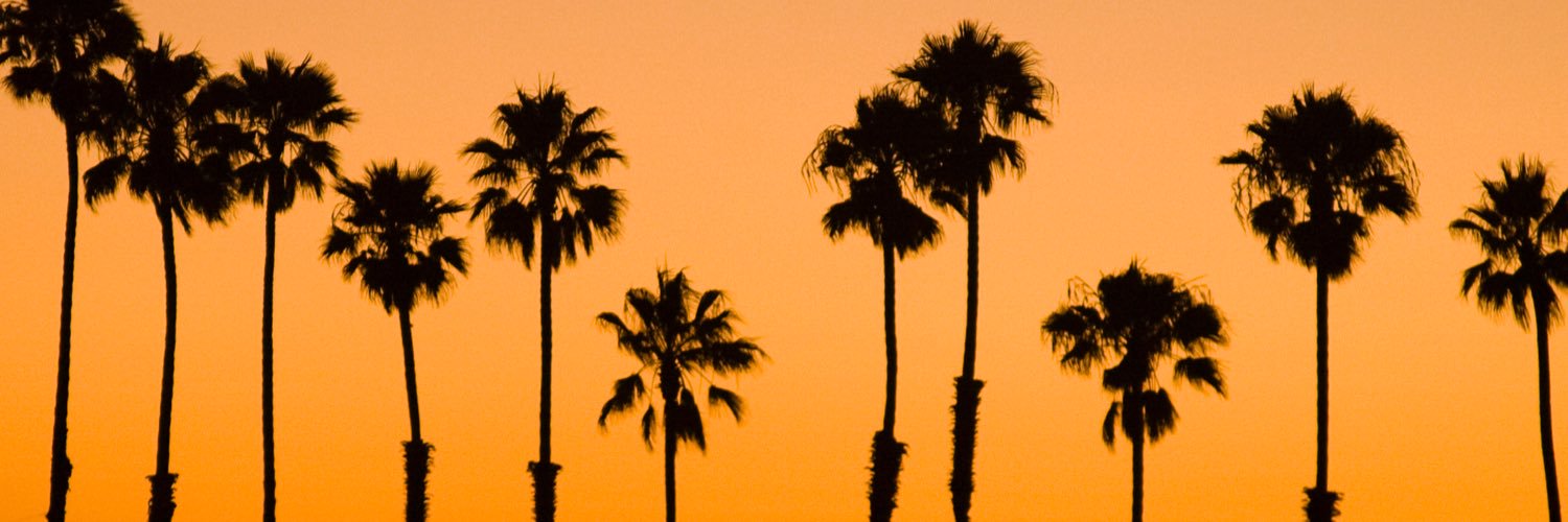roor's profile banner image