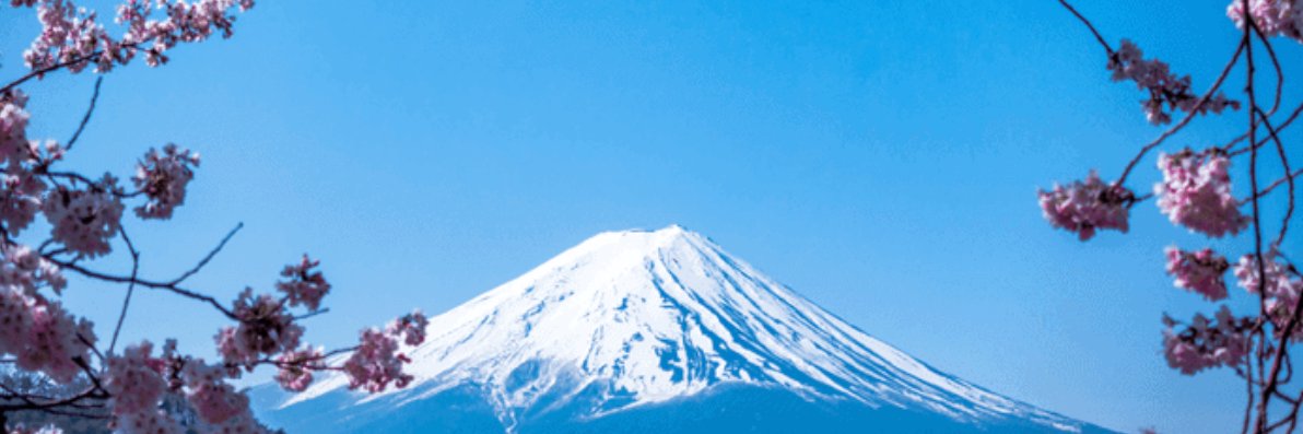 CreditsHodl's profile banner image
