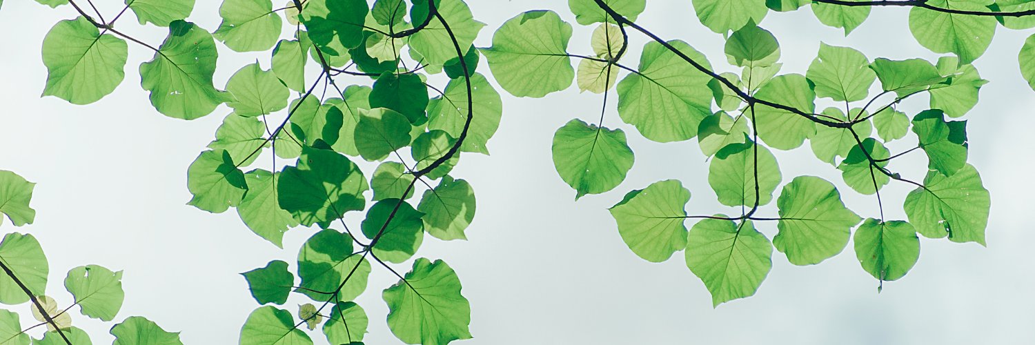 queerphren's profile banner image