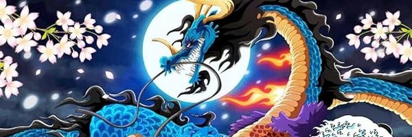 Mrcage banner