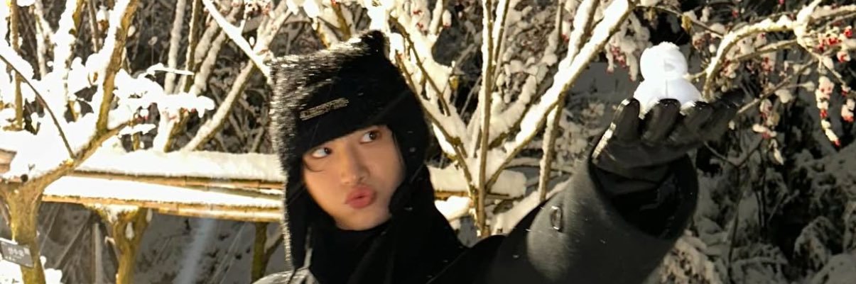 Liz 🍋's banner