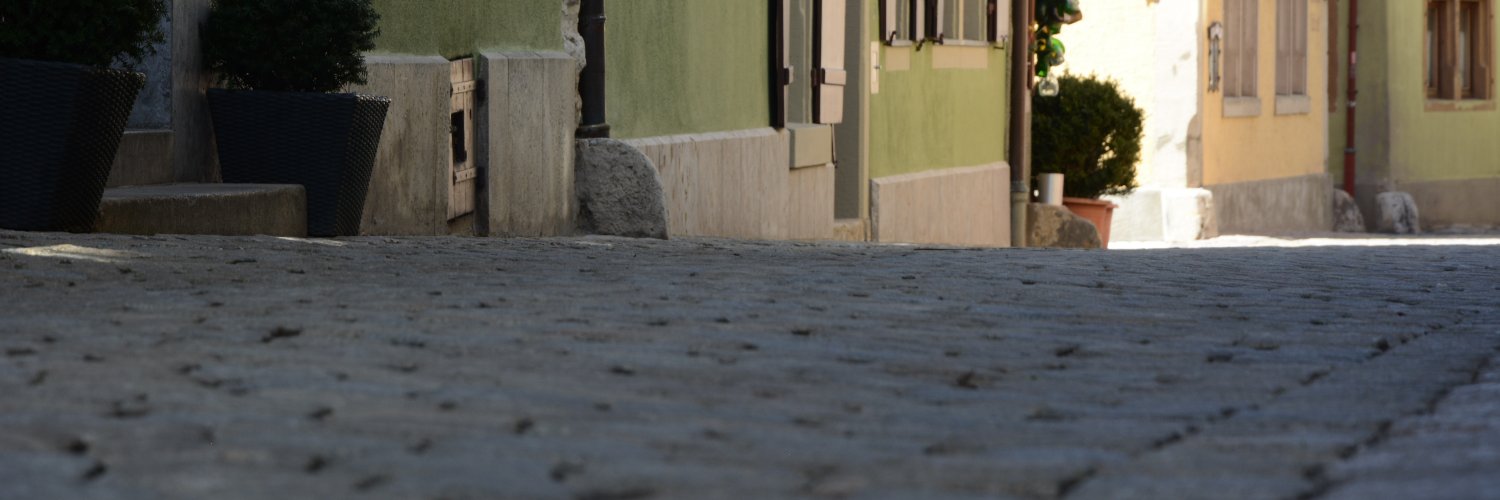 Friederike Kaiser banner