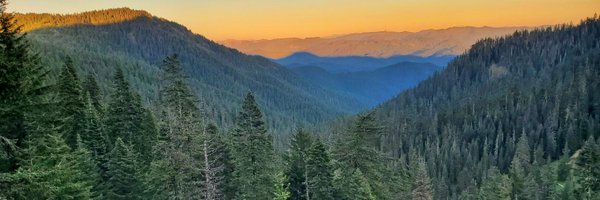 ForestGuy420 Profile Banner