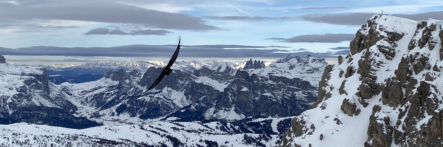 B3AG4's profile banner image