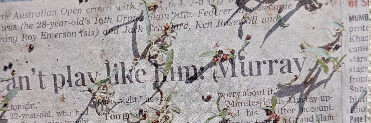 Spring323's profile banner image