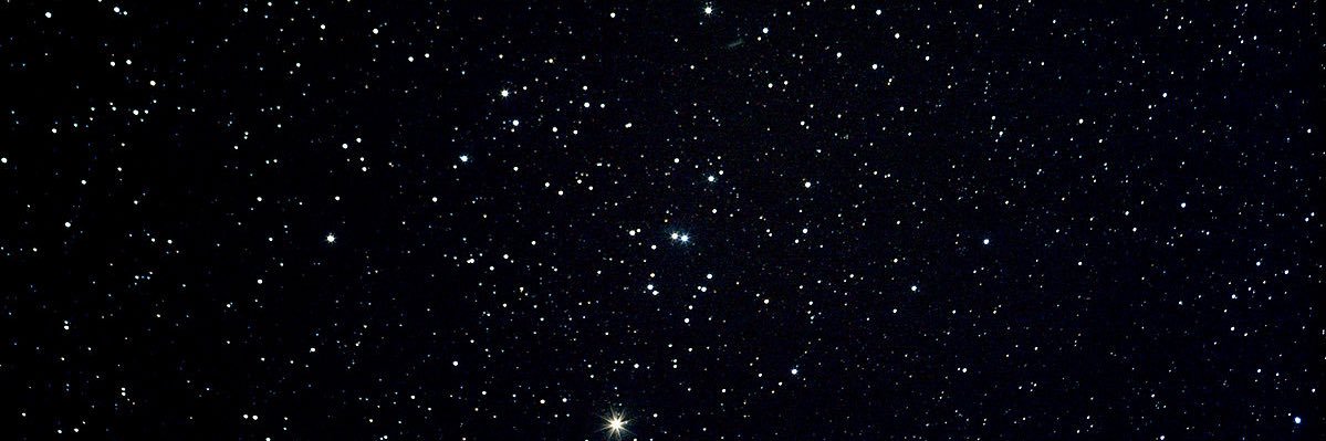 Shordy banner