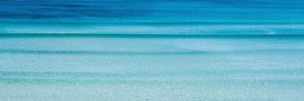 Rosemary Cooper banner