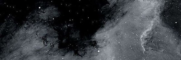 __darcelX__ Profile Banner