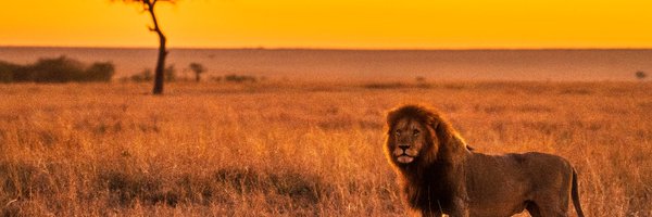 GhostZwe Profile Banner