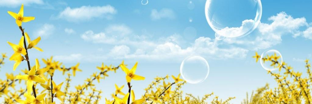 Assunta Elphinstonmackinnon ❤️ Memecoin banner