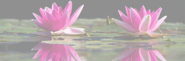 ACPE_edu Profile Banner