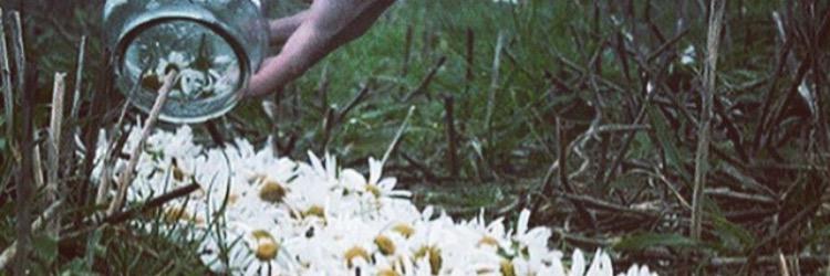 JoleneCanavan's profile banner image