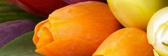 Fatima202171's profile banner image