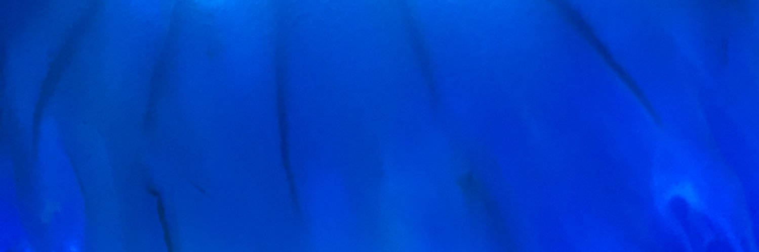 LyndaDelGrande's profile banner image
