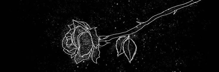 SayoriSnake's profile banner image