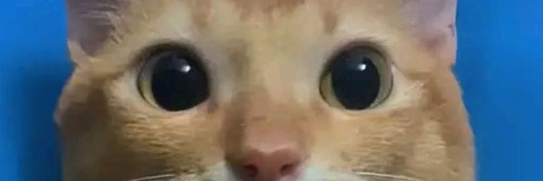 MichitasY Profile Banner