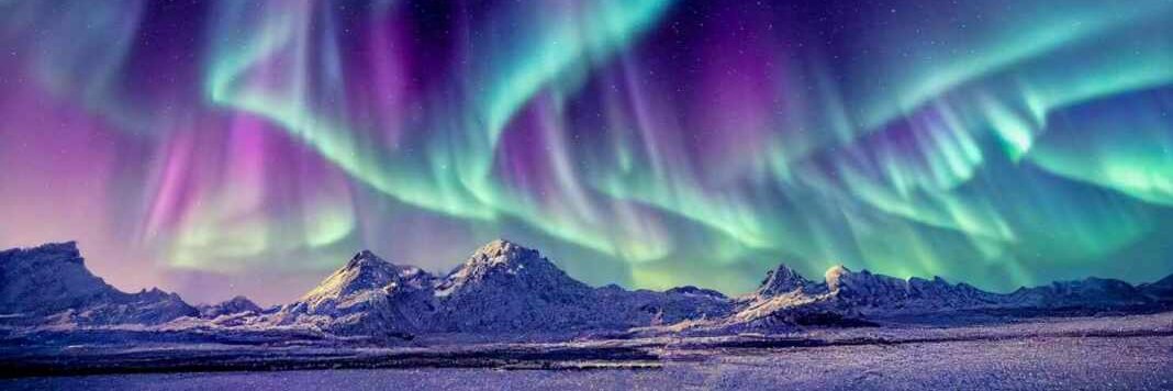 Pleiko 🌟✨ banner