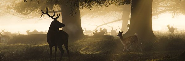 CannockChaseDC Profile Banner