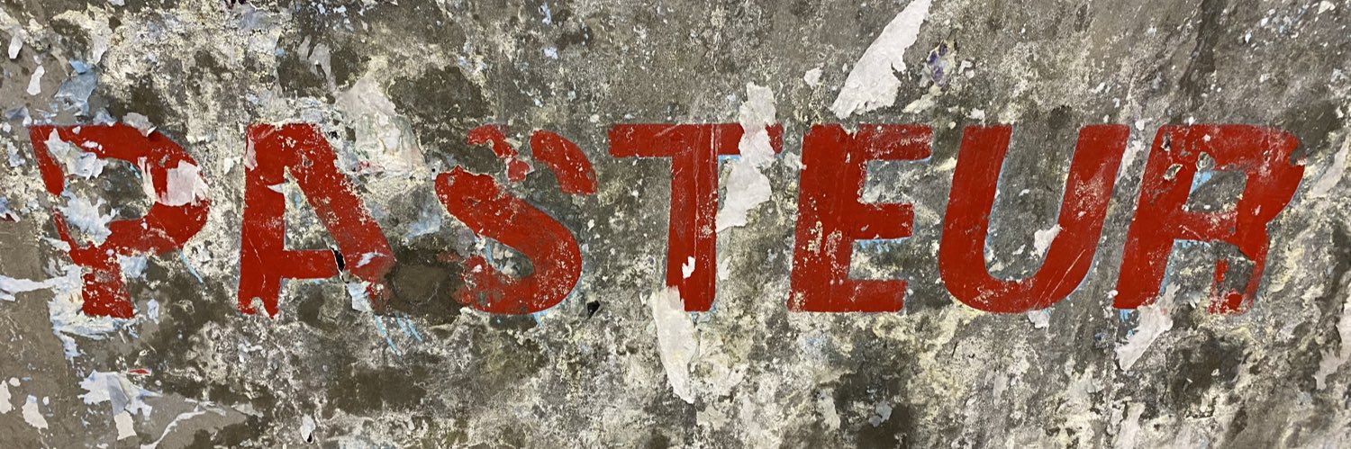 Timothée Bruel banner