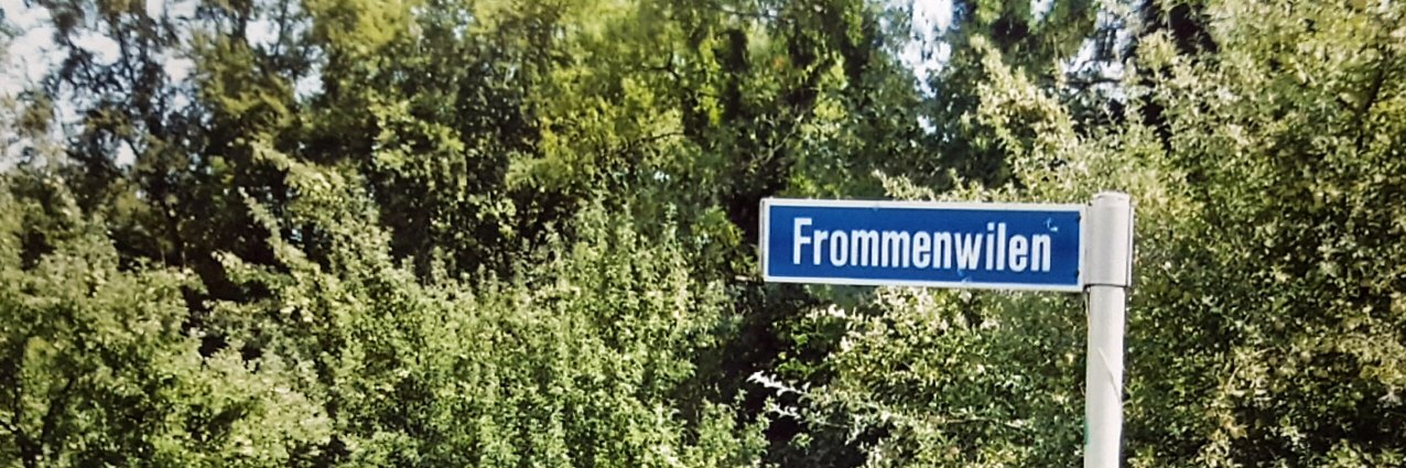 Frommenwiler's profile banner image