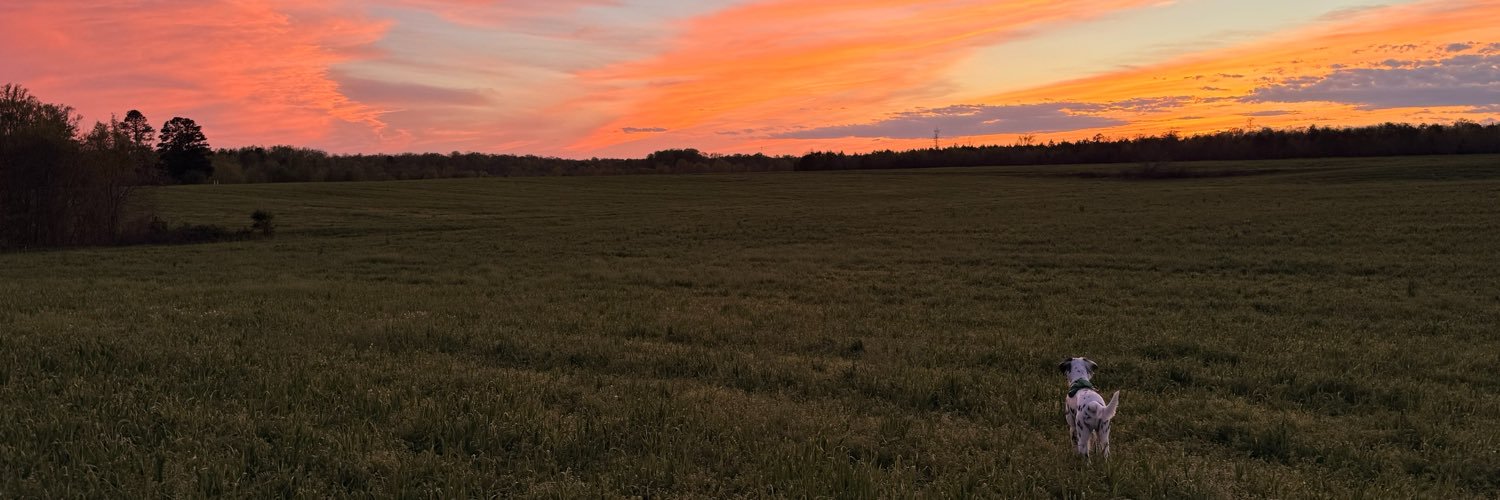 friedglue's profile banner image