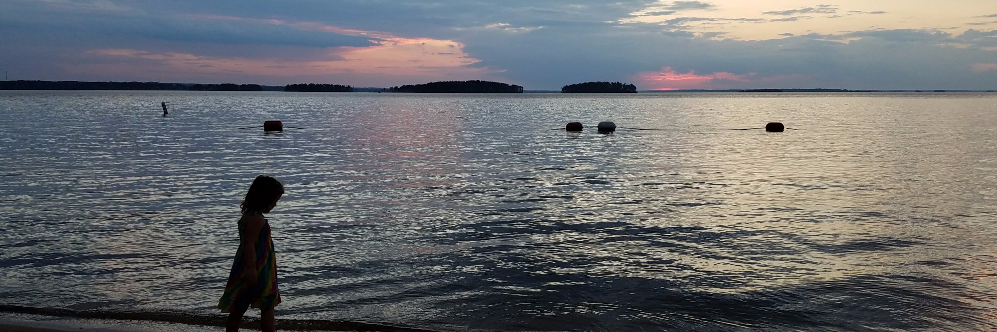 Nichole Porter banner