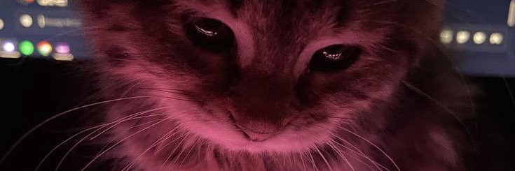 LERAKIT_KIT's profile banner image