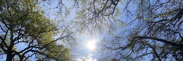 Hashonmymind Profile Banner