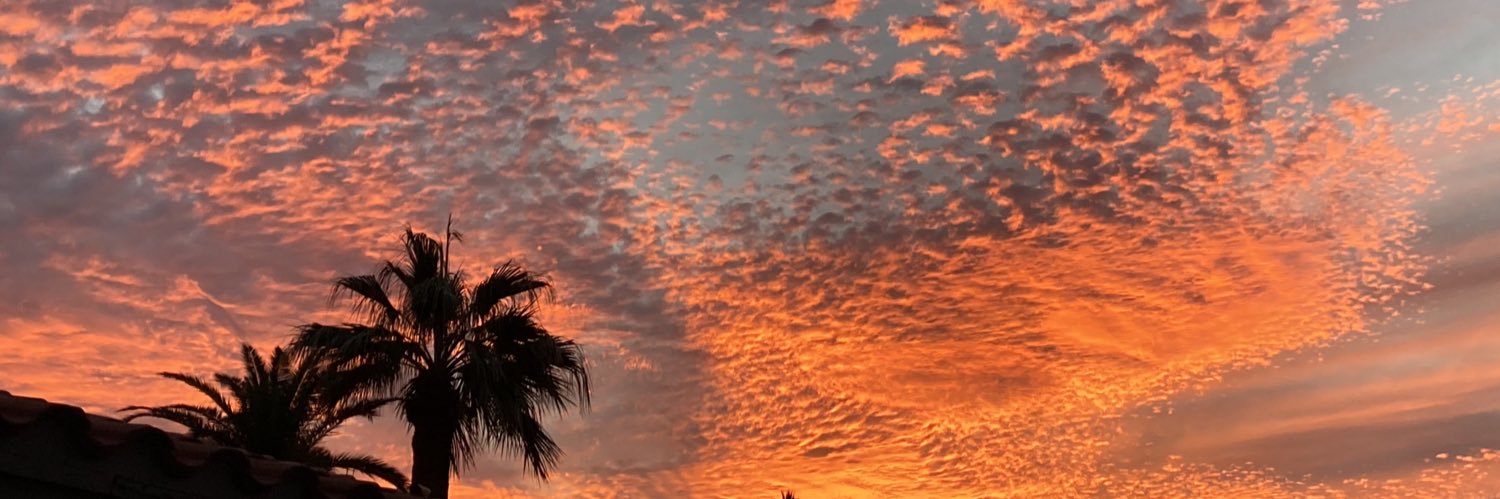 𐨨𐨁 𐨕 𐨮 banner