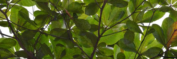 JasonPGarrett Profile Banner