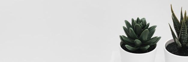 rett🧚🏻‍♀️ banner