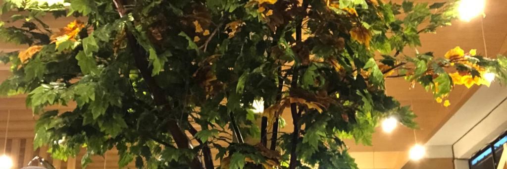 Ndar_24's profile banner image