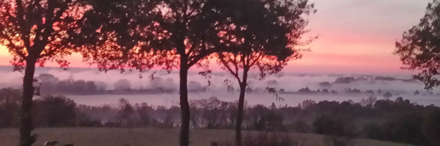 PasSiPIGNON's profile banner image