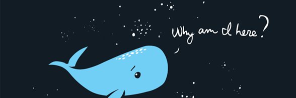 TheRealMcKinnon's profile banner image