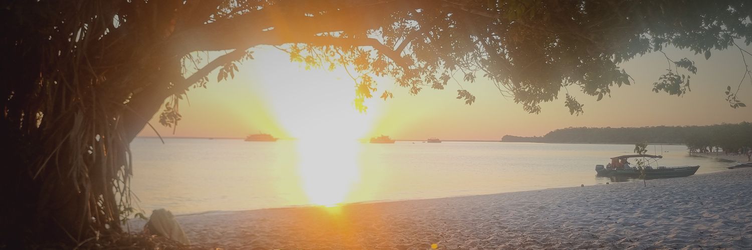 pietro1983's profile banner image