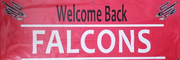 BrilliantFalcon Profile Banner