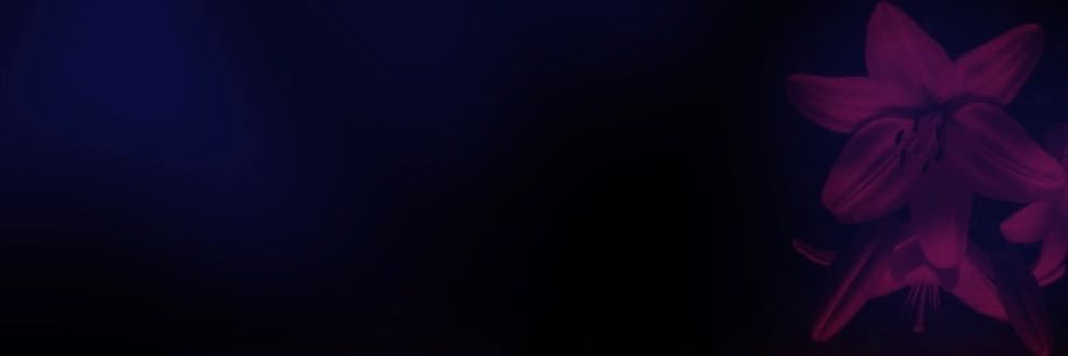 ಇlexis banner