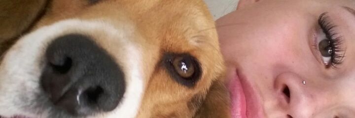 GuadaVicentela's profile banner image