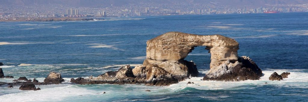 Diario Angamos online banner