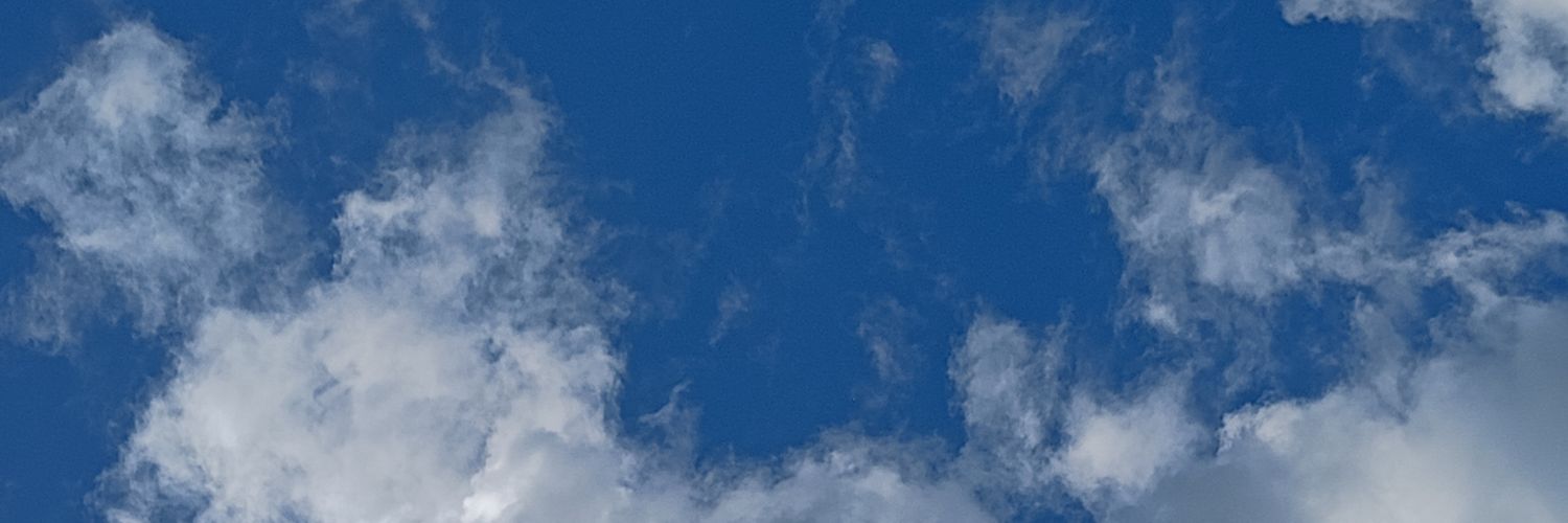 The noite com Snoopy banner