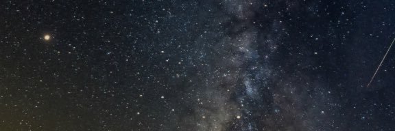 A Teripia 🐾 banner