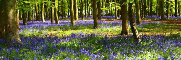 SloeJane Profile Banner