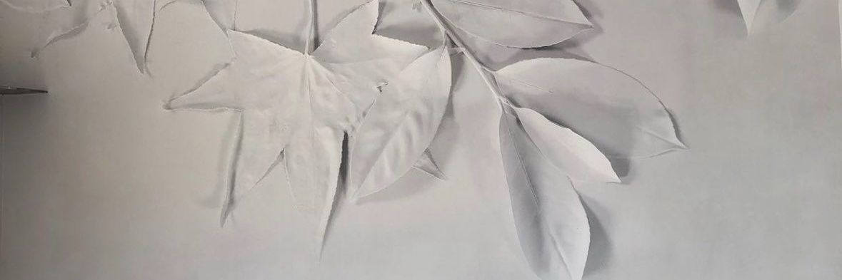 Sabrina F.'s banner