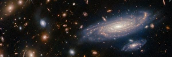 D H banner