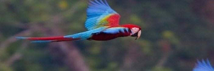 STEPHANE L. MANZANZA® banner