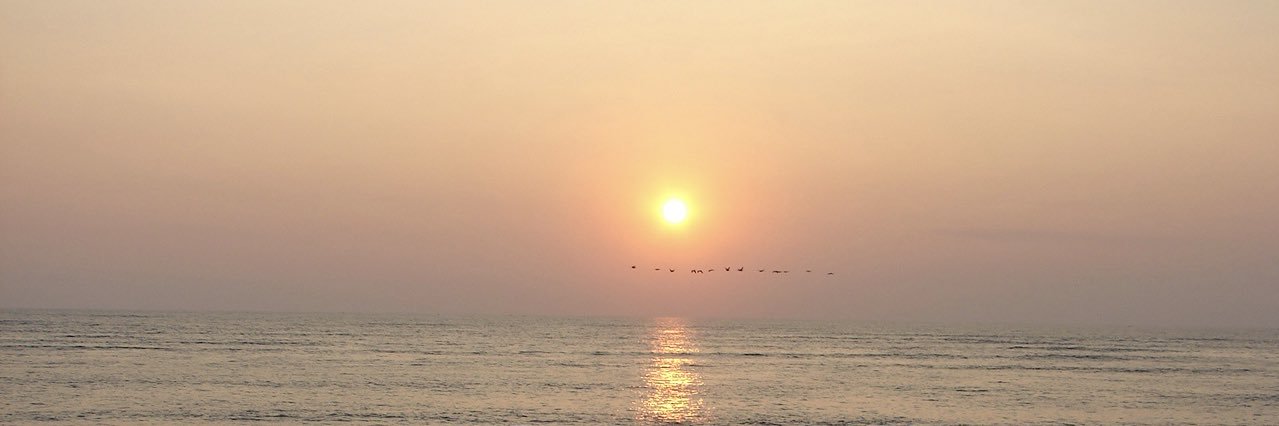 Rene3_M's profile banner image